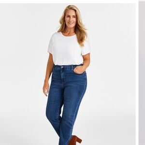 Style & co plus size Classic Blue Women's Jeans